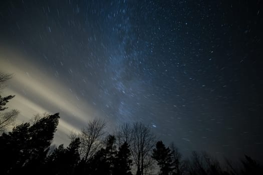 Strar Trails with the North Star and trees.