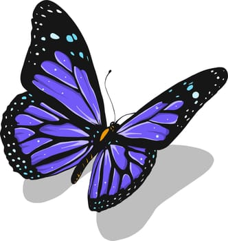 a colorful butterfly Morpho didius