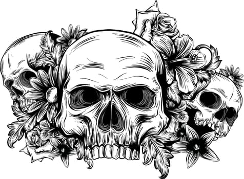skulls with roses on white background