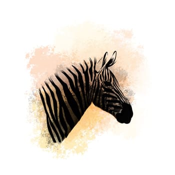 illustration animal zebra white background
