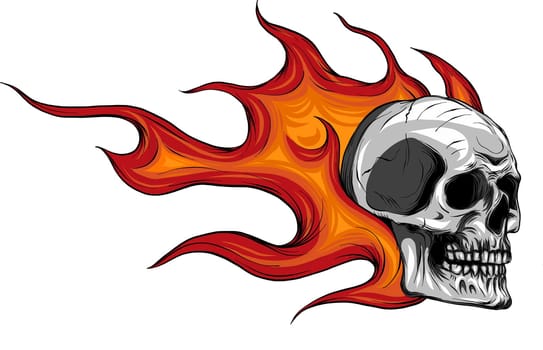 Skull on Fire Flames Vector Illustration