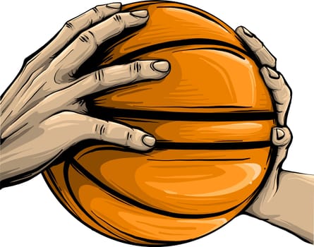 hand and basketball isolated on white