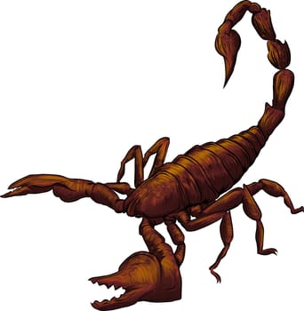 vector realistic scorpion cartoon illustration