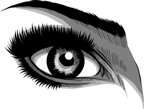 Beautiful Women Eyes with make up