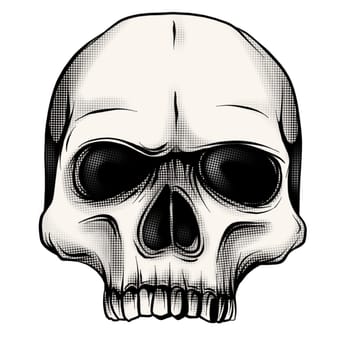 black and white illustration of human skull with a lower jaw in ink hand drawn