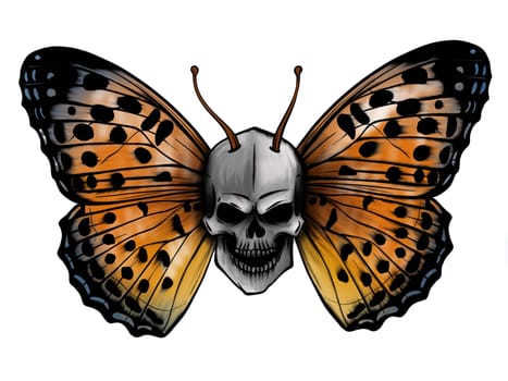 a colorful butterfly Morpho didius