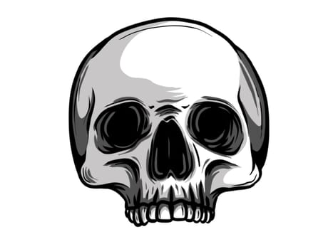 black and white illustration of human skull with a lower jaw in ink hand drawn