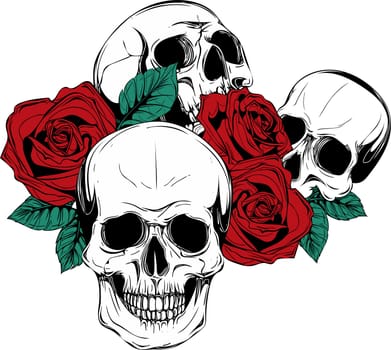 A skull with roses on white background