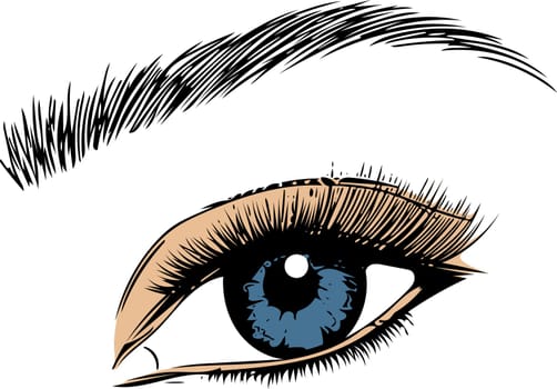 Eye on white background. Eyes art. Woman eye. The eye logo. Eyes art. Human eye.