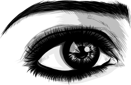 Eye on white background. Woman eye. The eye logo. Eyes art. Human face, eye close up - vector