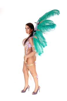 A young gorgeous woman wearing a colorful carnival outfit with big.feather, high heels, isolated for white background.