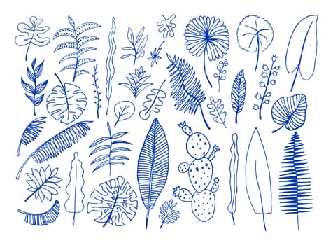 Vector set of bright tropical plants. Colorful hand-drawn Leaves, Inflorescences, Flowers. Blue  color