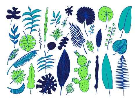 Vector set of bright tropical plants. Hand-drawn Leaves, Inflorescences, Flowers. Blue Black Green colors