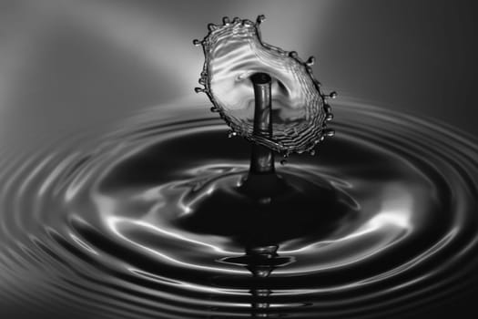 Water Droplet Splash Close Up Black and White.
