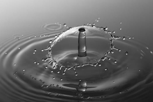 Water Droplet Splash Close Up Black and White.