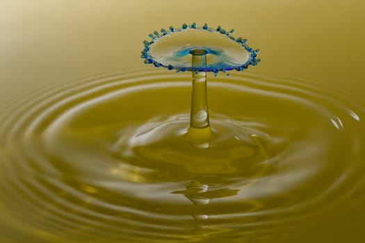 Water Droplet Splash Close Up.