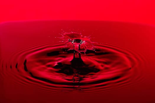 Red Water Droplet Splash Close Up.