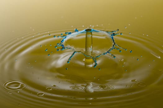 Water Droplet Splash Close Up.