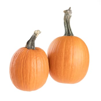 Pie pumpkins isolated on a white background