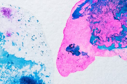 Abstract aquarelle hand drawn art on white background, Watercolor grunge texture backdrop