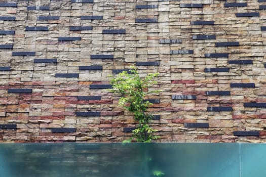 Beautiful wall is covered with multi-colored tiles