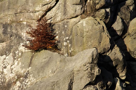The External Stones in Autumn