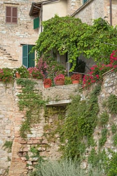 Closeup of the old stone house overgrown with creepers and decorated with potted plants