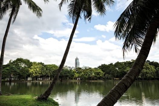 Landscape of lakeside view with palm trees in Lumphini Park in Bangkok, Thailand