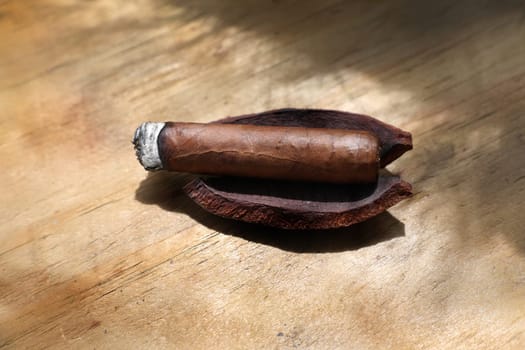 Close up cigar on wooden table