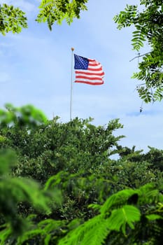 Conceptual image of waving American flag hanged at tall pole in green trees over blue sunny sky