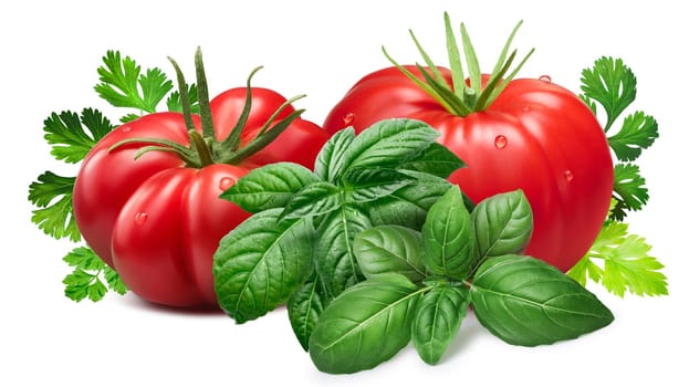 Fresh ribbed tomatoes with Genovese basil and herbs.Clipping paths, shadows separated, infinite depth of field. Design elements