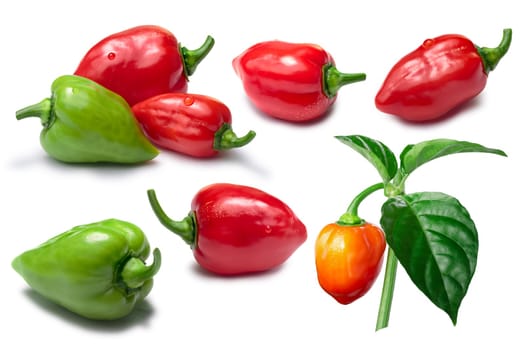 Set of red, orange and green Habanero peppers (Capsicum Chinense) with ripening streaks. Clipping paths, shadows separated, infinite depth of field. Design elements