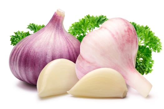 Whole garlic bulbs with curly parsley. Clipping path, shadow separated.
