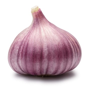Garlic (Allium sativum) clove, whole, with husk. Clipping paths, shadows separated, infinite depth of field. Design elements
