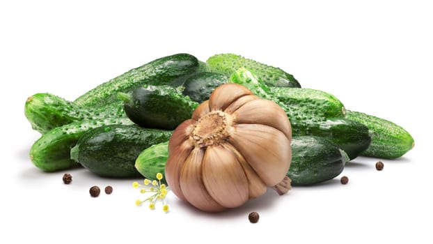 Garlic dill pickles. Gherkins (tiny cucumbers or cornichons) for pickling. Clipping paths, shadows separated