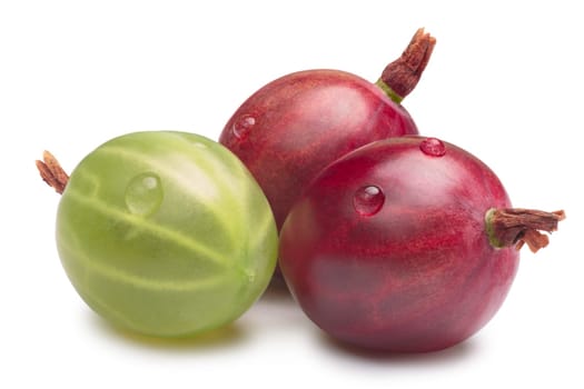 Red and green European Gooseberries (Ribes grossularia). Clipping paths, shadow separated, infinite depth of field. Design element