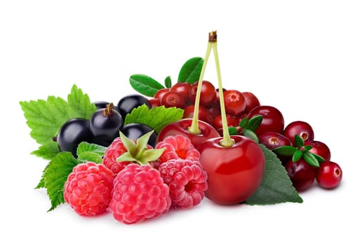 Forage and cultivated berries: raspberry, blackcurrant,cherry,lingonberry,cranberry. Clipping paths for both berries and drop shadow. Infinite depth of field