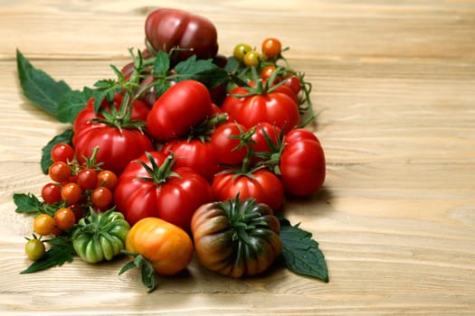 Biodiversity. Fresh heirloom tomatoes on wooden table. Selective focus. Organic food