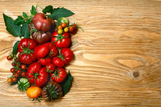 Biodiversity. Fresh heirloom tomatoes on wooden table. Flat lay, above view. Organic food