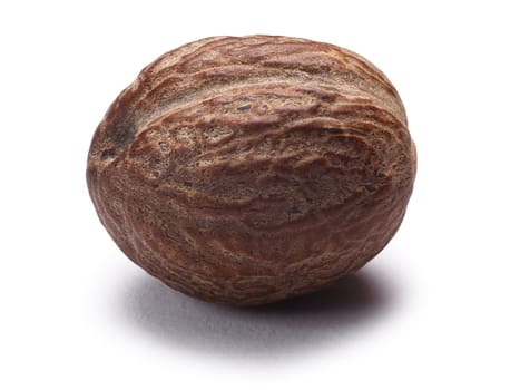 Single nutmeg (seed of Myristica fragrans). Clipping paths, shadow separated