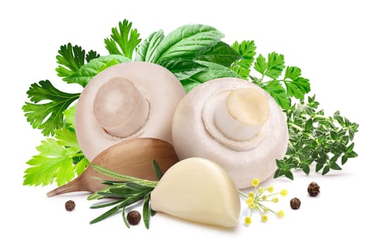 Button mushrooms (Agaricus bisporus) for pickling with herbs and garlic. Clipping path, shadow separated. Design elements