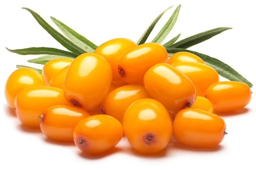 Pile of sea buckthorn berries with leaves. Clipping paths, shadow separated, infinite depth of field. Design elements
