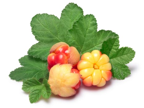 Three cloudberries (Rubus Chamaemorus) with leaves. Clipping paths, berries and shadow separated, infinite depth of field