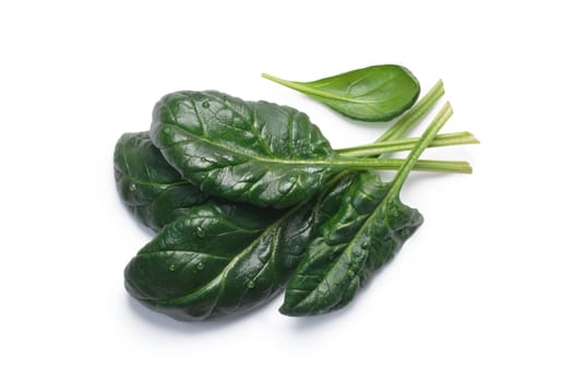 Fresh spinach (Spinacia oleracea) leaves, top view. Clipping paths, shadow separated, natural daylight color