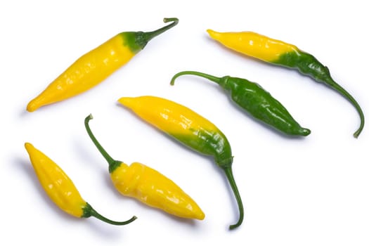 Aji Pineapple peppers (Capsicum baccatum). Clipping paths, shadows separated, top view