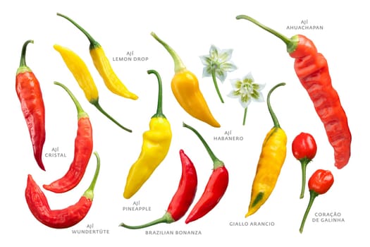 Aji chile peppers (Capsicum baccatum) collection. Clipping paths for each