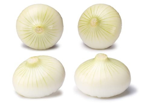 Set of white onion bulbs (Allium cepa), peeled, whole. Clipping paths, shadows separated. Design elements