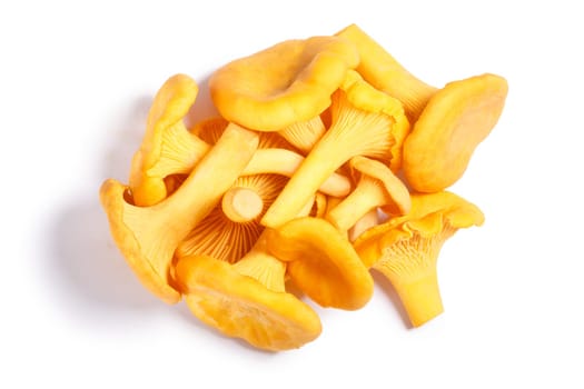 Pile of Chanterelles or girolles mushrooms (Cantharellus cibarius), top view. Clipping paths, shadow separated