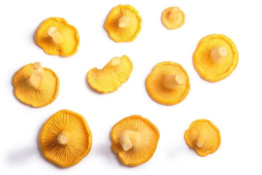 Chanterelles or girolles mushrooms (Cantharellus cibarius), top view. Clipping paths, shadow separated