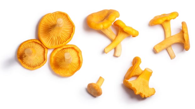 Chanterelles or girolles mushrooms (Cantharellus cibarius), top view. Clipping paths, shadow separated